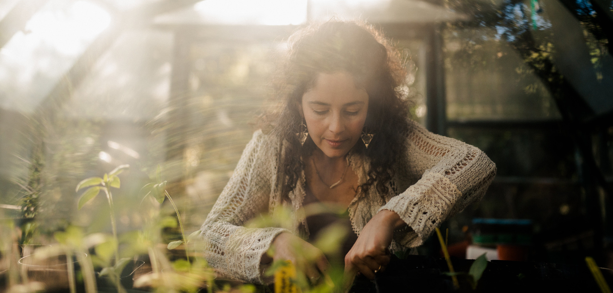 Women's health and midlife community — Luminescence by Commune