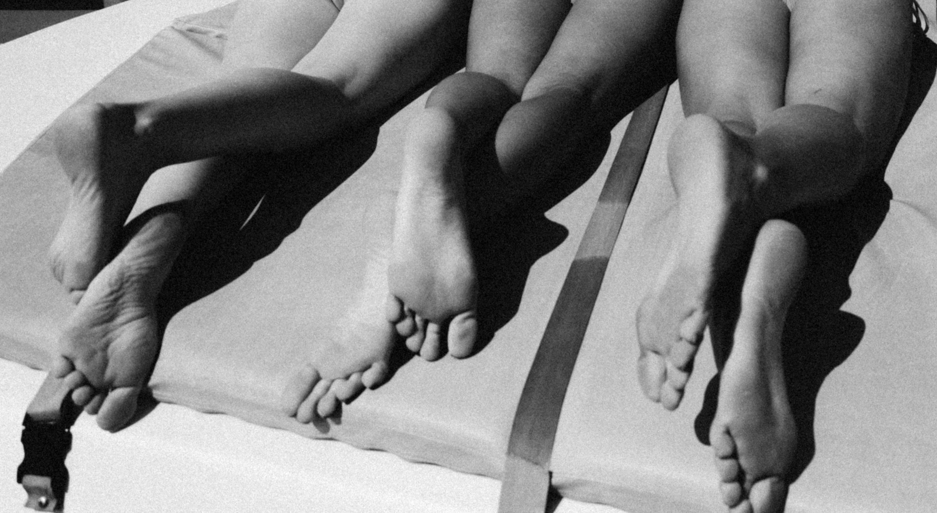 Hot for Hormones Summer Camp — Luminescence by Commune