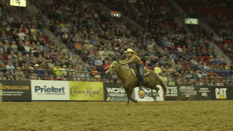 Cortisol Rodeo